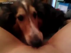 Between her hips, a dog